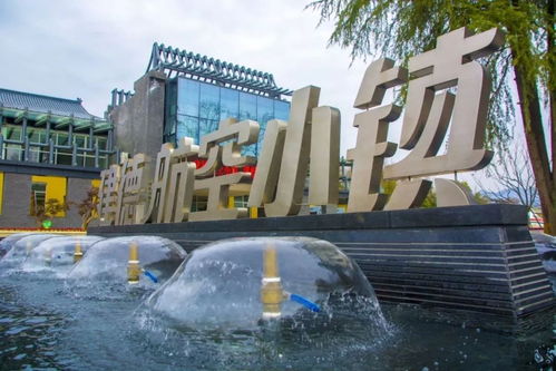 福利來襲！建德航空小鎮獲評國家4A級景區，免費溫泉等您來暢享