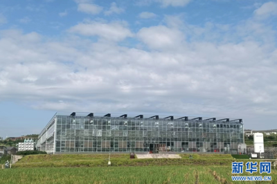 聚焦高質(zhì)量發(fā)展｜重慶 深挖數(shù)據(jù)價值，賦能千行百業(yè)金融中介服務(wù)