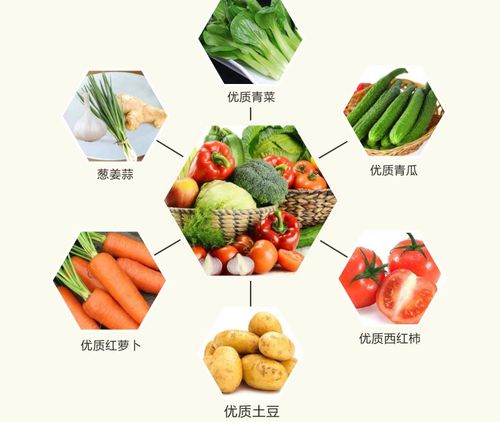 老西關(guān)食材產(chǎn)品系列 一站式采購(gòu)，重溫地道廣府味